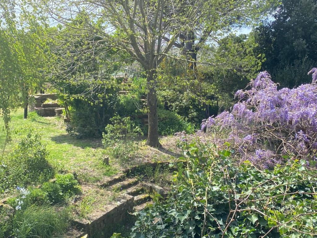 Agriturismo Solidor Πιτιλιάνο Εξωτερικό φωτογραφία