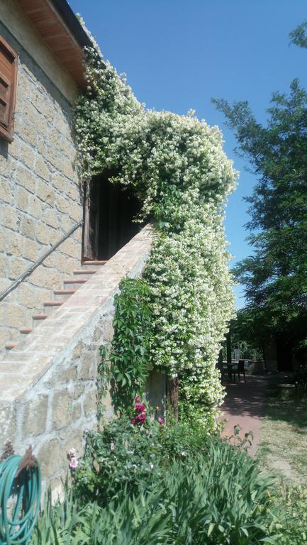 Agriturismo Solidor Πιτιλιάνο Εξωτερικό φωτογραφία