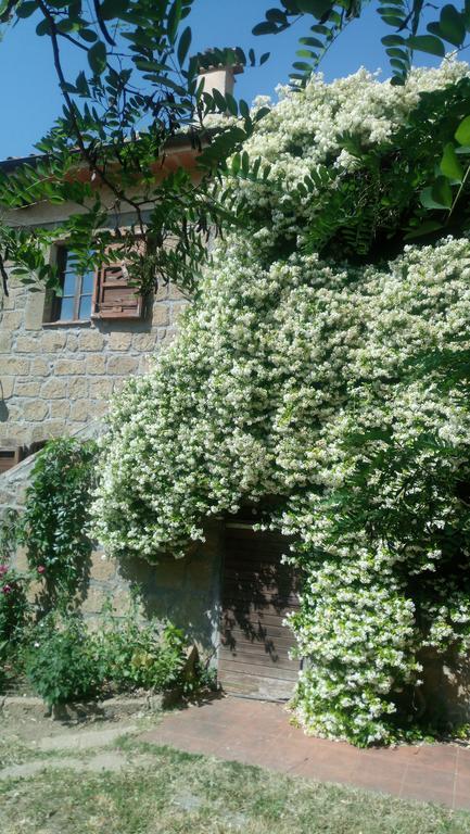 Agriturismo Solidor Πιτιλιάνο Εξωτερικό φωτογραφία